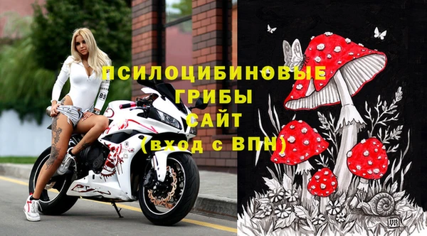 хмурый Алексеевка