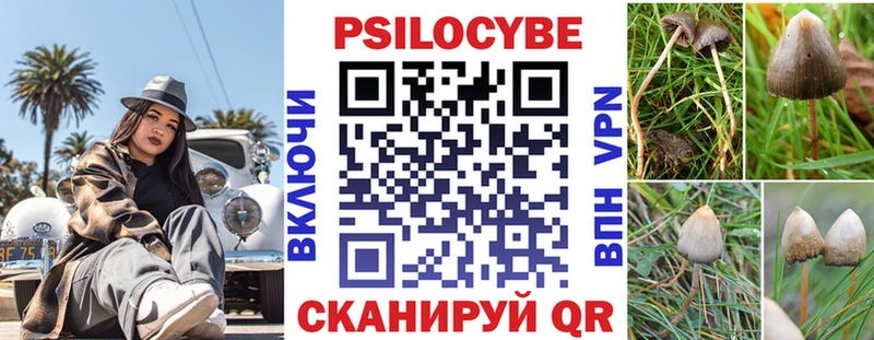 Галлюциногенные грибы Psilocybine cubensis  Кремёнки 